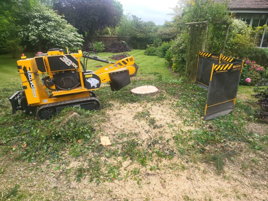 tree-stump-grinding